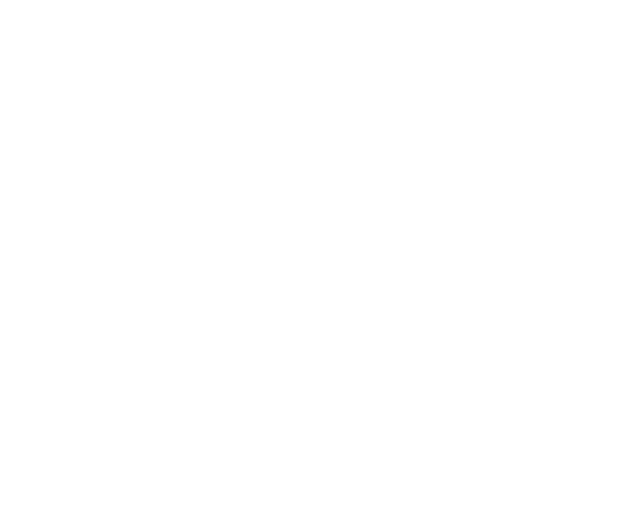 Plan Avanzado